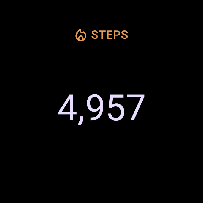 The Steps tile: the day's step count.